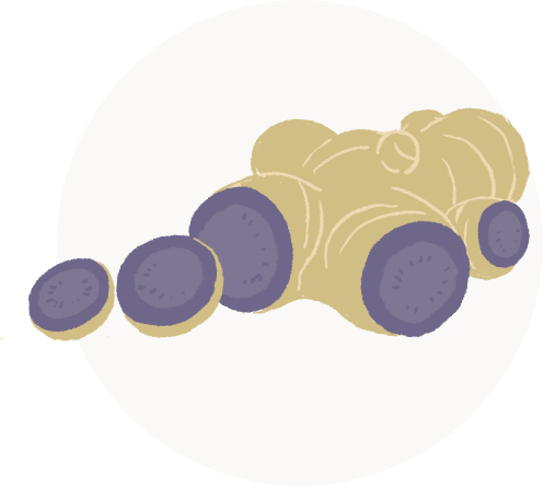 ブラックジンジャー