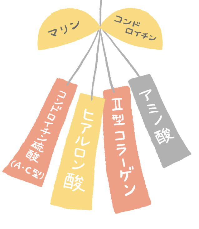 鮭のコンドロイチン硫酸はヒトと同じ？