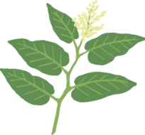 大痛取のおはなし